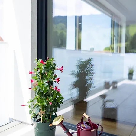 Bodensee Bergblick By Stadtlandnest * Lochau