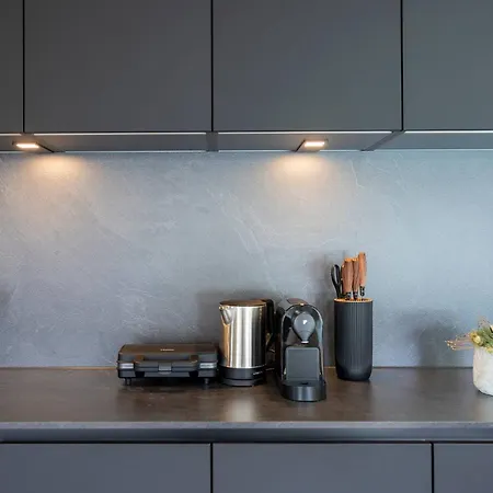 Bodensee Bergblick *